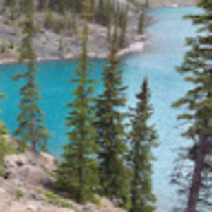 Meet your Posher, Carina